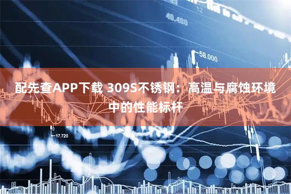 配先查APP下载 309S不锈钢：高温与腐蚀环境中的性能标杆