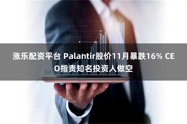 涨乐配资平台 Palantir股价11月暴跌16% CEO指责知名投资人做空