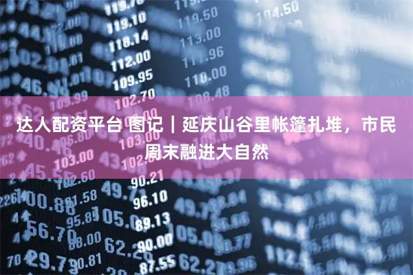 达人配资平台 图记｜延庆山谷里帐篷扎堆，市民周末融进大自然